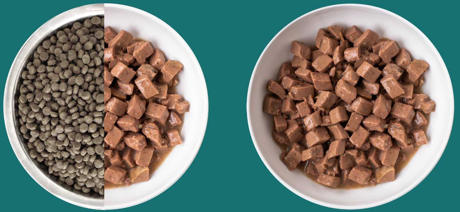 Recipe Guide for Dogs KOHA Pet