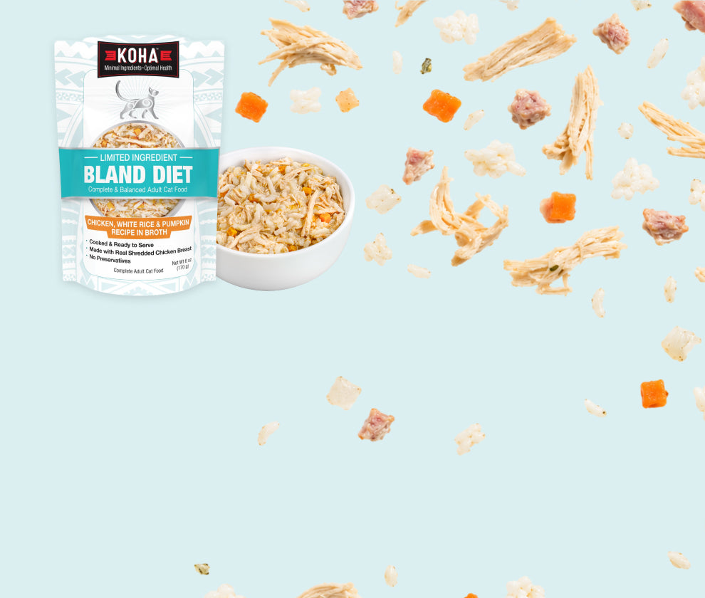 A pouch of KOHA Limited Ingredient Bland Diet food next to a bowl and pieces of food on a light blue background.
