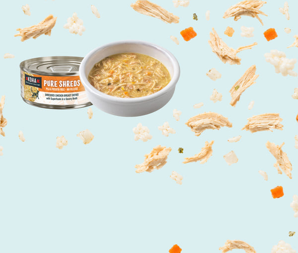 A can of KOHA Pure Shreds wet cat food next to a white bowl filled with the food, set against a light blue background.