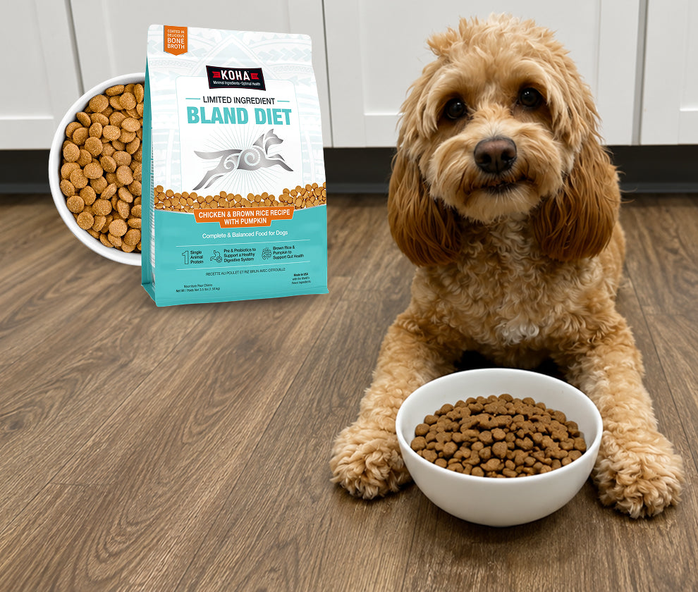 A small fluffy tan dog sits on a wood floor next to a bowl of dog food, with a bag of KOHA Bland Diet dog food standing behind it and another bowl of food beside the bag.