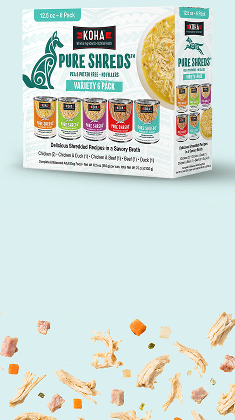 Koha Pure Shreds variety pack dog food packaging shown on a light blue background.