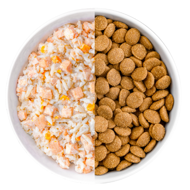 One bowl, half with KOHA Bland Diet Wet Food and half with KOHA Bland Diet Dry Food