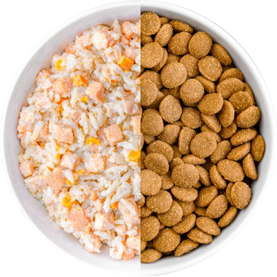 Bowl with half KOHA Bland Diet Dry Food for Dogs and half KOHA Bland Diet Wet Food for Dogs