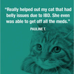 Testimonial: Cat food helped relieve symptoms of IBD